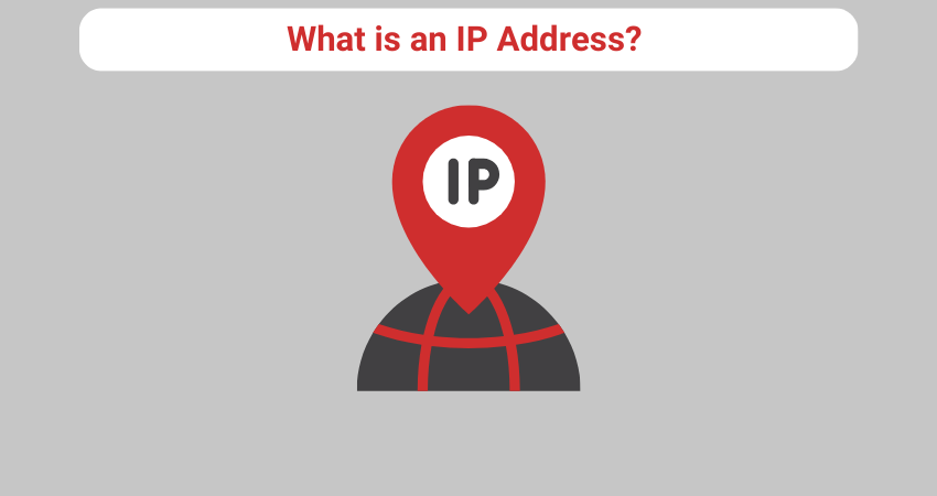What is an IP Address? A Complete Guide